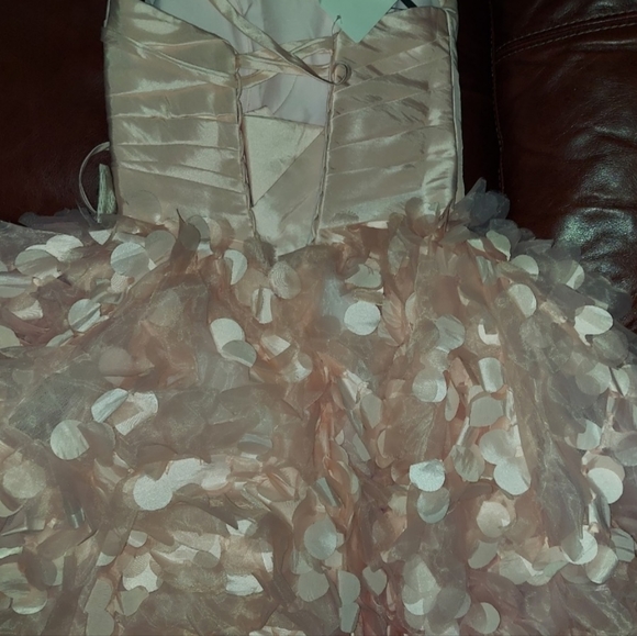 Love 16 Clove Pink Dress NWT size 2 Corset Back Enzoani PROM Special Events - Picture 4 of 6